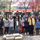 인도변 화단 이미지