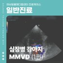 창현동물병원 이미지