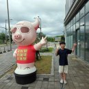 허경호 오돌