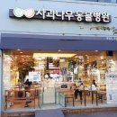 가람동물병원 | 일산 사과나무동물병원 말티푸 진료후기