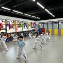 용인대 장안 태권도 이미지