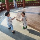 하영예술어린이집 | 하하네는 5월 - 6월도 행복해오