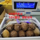 오학농장 네이버블로그