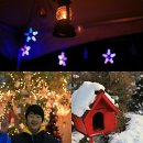 용수리_마을진입로_021 | [강원도힐링캠핑장] 크리스마스 망년회 캠핑 블로그 참가자 접수[마감]