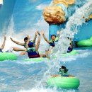 JFK대천워터파크호텔 이미지