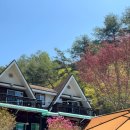 오이코스테이 이미지