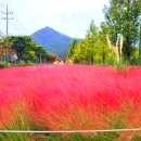 논공(대구) 이미지