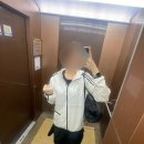 도시락도 락이다 직장인 일상