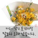 트웬티쏠 | 대구 범어동 꽃집, 생일 꽃다발 어디서 준비할까? 수성구 감성 꽃다발 추천 트웬티 쏠