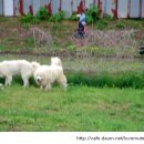 속담농장 이미지