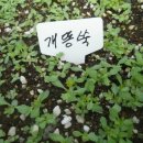 김종군농장 Daum카페