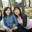 중상보공원 이미지