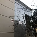 장현호 과자점 앞 | 일상/스벅기프티콘/실크테라피/양키캔들/해장국/프로바이오생유산균