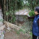 신우민박 이미지