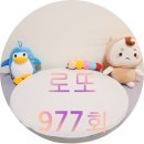 세븐일레븐영주가흥로또점 | 금빛행운 로또 977회 1등 2등 당첨번호 금액 알아보아요