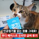 FD 와일드 푸디 페이스트 오리맛 급여 후기