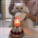 약손치과의원 | 누들핏 신상, 보자기카드 청첩장, 클라이밍 암벽화, 약손명가, 스타벅스 샌드위치, LG전자 가전투어