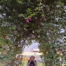 말레이지아 (코타키나발루 10/2-10/3) 이미지