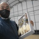 더덕쟁이 이미지