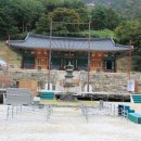 해.우(牛).돈(豚)