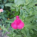 생사경로당 이미지