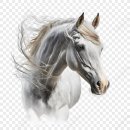 백마편의점 | [공연] 2025.11.08 LUNATIC FESTIVAL 2025 후기 | DIR EN GREY | SID | Novelbright | MY FIRST STORY