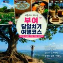 한무쇼핑(주)충청점 | 부여 당일치기 여행코스 | 궁남지부터 사랑나무까지