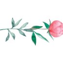 세진커텐이불 이미지