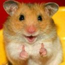 판타스틱 코인노래연습장 이미지