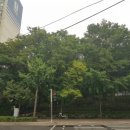 신동아(아) 이미지