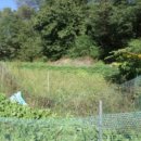 신해1리경로당 이미지