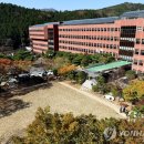 참빛방역