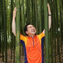 대숲속으로 이미지