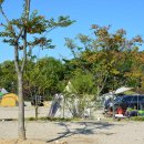 율곡캠핑장 이미지