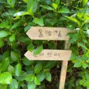 정원친구
