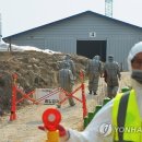 안서농장 연합뉴스