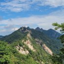 정고개농장 이미지