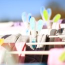 진리세탁 이미지