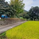 간전파출소 이미지