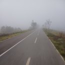 구미보명품화장실 이미지