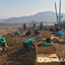 요도천변길 이미지