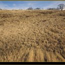 양지목장 이미지