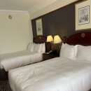 킹(KING)모텔 | 여행] “인터컨티넨탈 카이로 세미라미스” 솔직후기 비추 | 나일강 뷰 5성급 호텔 | 타흐리르 광장...