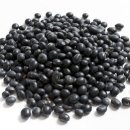 006-조리-006 이미지