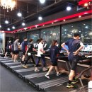 영통동960-3번지 | 영통헬스장 운동하는여자 그룹 레슨 타이거짐PT