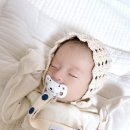 애니멀 프렌즈 | 99.9% 살균 가능한 소독케이스 쪽쪽이🍼 스펙트라 애니멀 프렌즈 &amp; 올실리콘 쪽쪽이 후기