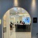 댕댕살롱앤스파 | 💇🏻‍♀️강릉미용실 에코레비헤어앤스파 유나샘 손에서 인생머리 완성✨복구매직으로 상한머리 리셋한 후기