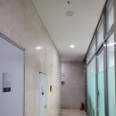 자연산산꼼장어 이미지