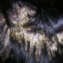 경희샘한의원 이미지