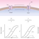 [초중수] <신혈증론 9부> 체온 = 혈액의 온도 v.112001 이미지